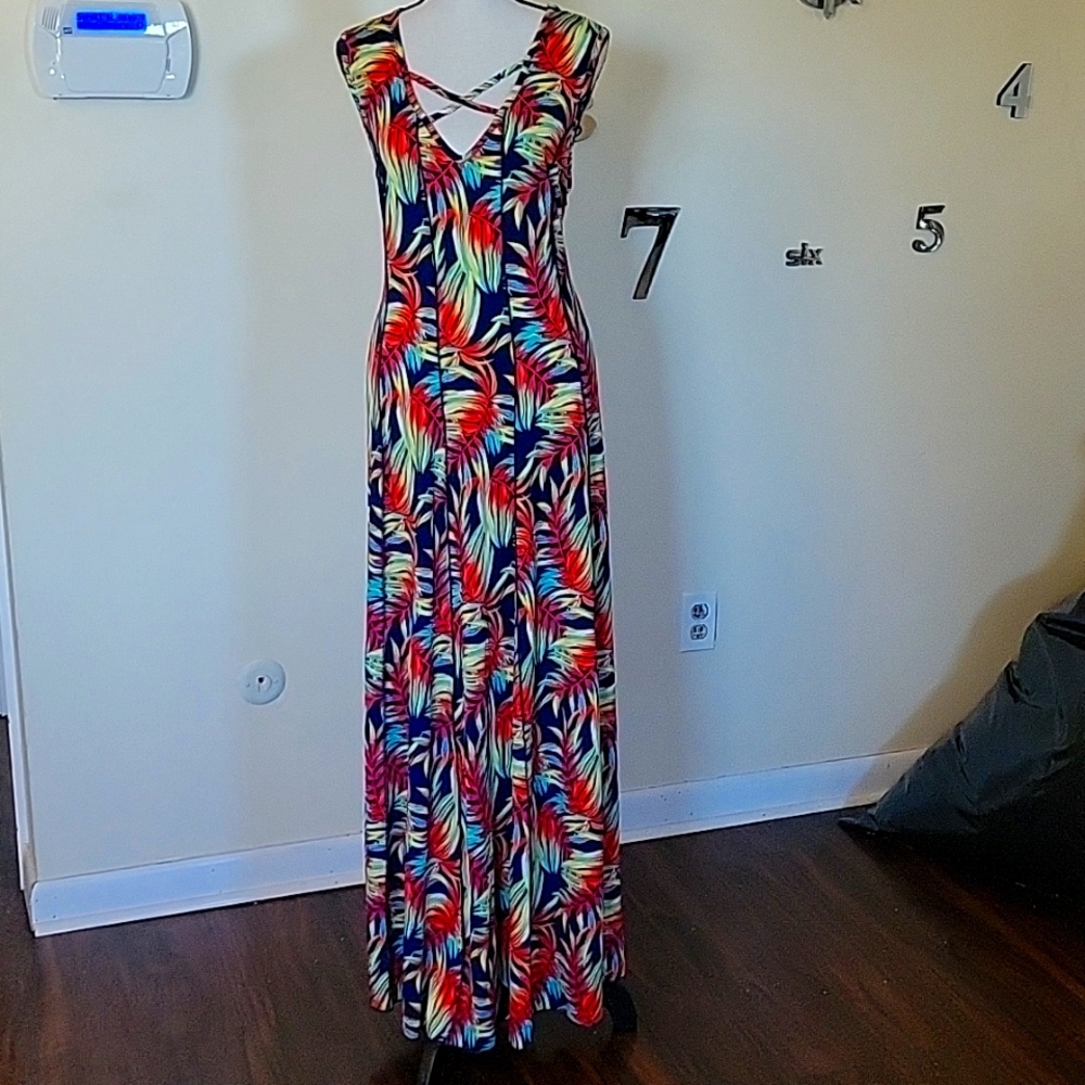 Sami & jo 2X stretchy maxi dress